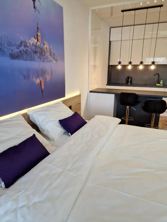 Bed & Breakfast Rezidenca Pipanova Λιουμπλιάνα